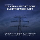 Die Verantwortliche Elektrofachkraft (MP3-Download)