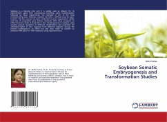 Soybean Somatic Embryogenesis and Transformation Studies