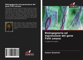 Bioingegneria ed espressione del gene FVIII umano