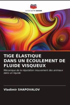 TIGE ÉLASTIQUE DANS UN ÉCOULEMENT DE FLUIDE VISQUEUX - Shapovalov, Vladimir