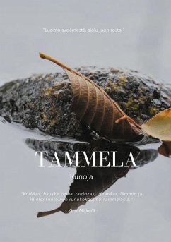 Tammela (eBook, ePUB)