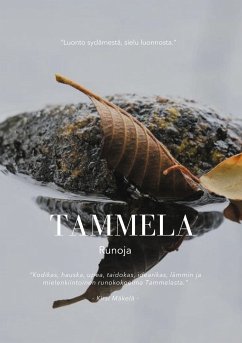 Tammela (eBook, ePUB) - Heino, Markku