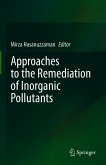 Approaches to the Remediation of Inorganic Pollutants (eBook, PDF)