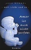 Amor ist auch nicht perfekt (eBook, ePUB)