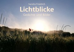 Lichtblicke (eBook, ePUB)