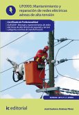 Mantenimiento de redes eléctricas aéreas de alta tensión. ELEE0209 (eBook, ePUB)