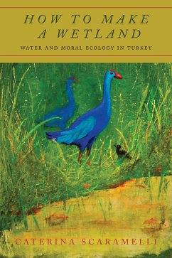 How to Make a Wetland (eBook, ePUB) - Scaramelli, Caterina