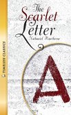 Scarlet Letter Novel (eBook, ePUB)