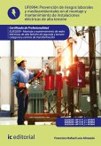 Prevención de riesgos laborales y medioambientales en el montaje y mantenimiento de instalaciones eléctricas de alta tensión. ELEE0209 (eBook, ePUB)
