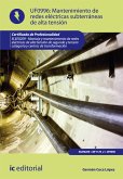 Mantenimiento de redes eléctricas subterráneas de alta tensión. ELEE0209 (eBook, ePUB)