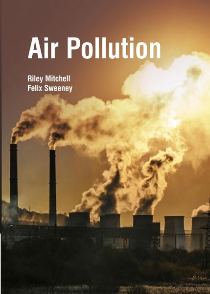 Air Pollution (eBook, ePUB)