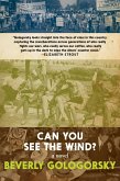 Can You See the Wind? (eBook, ePUB)