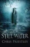 Still Water (eBook, ePUB)