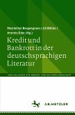 Kredit und Bankrott in der deutschsprachigen Literatur (eBook, PDF)