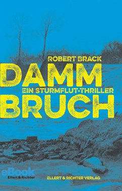 Dammbruch (eBook, ePUB) - Brack, Robert