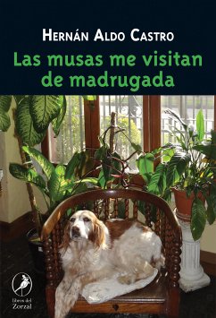 Las musas me visitan de madrugada (eBook, ePUB) - Castro, Hernán