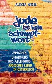 Jude ist kein Schimpfwort (eBook, ePUB)