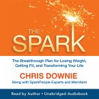 The Spark (MP3-Download)