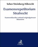 Examensrepetitorium Strafrecht