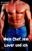 Mein Chef, sein Lover und ich (eBook, ePUB)