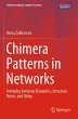 Chimera Patterns in Networks - Bild 1