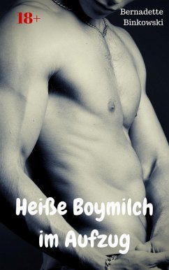 Cover Heiße Boymilch im Aufzug (eBook, ePUB)