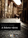 A fekete város (eBook, ePUB)