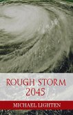 Rough Storm 2045 (eBook, ePUB)