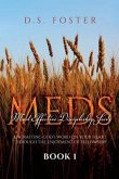 Most Effective Discipleship Seeds (MEDS) (eBook, ePUB)