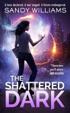 The Shattered Dark (A Shadow Reader Novel, #2) (eBook, ePUB)