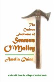 The Curious Footwear of Seamus O'Malley (eBook, ePUB)