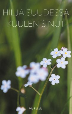 Hiljaisuudessa kuulen sinut (eBook, ePUB)