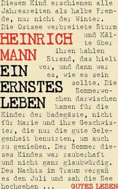 Ein ernstes Leben (eBook, ePUB) - Mann, Heinrich