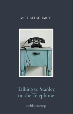 Talking to Stanley on the Telephone (eBook, ePUB) - Schmidt, Michael