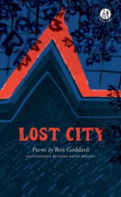Lost City (eBook, ePUB) - Goddard, Roz