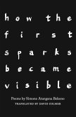 how the first sparks became visible (eBook, ePUB)