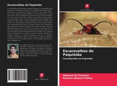 Escaravelhos do Paquistão - Panhwar, Waheed Ali;Pathan, Kamran Ahmed