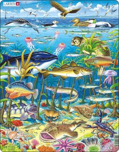 Cover Meereslebewesen im Nordatlantik (Kinderpuzzle)