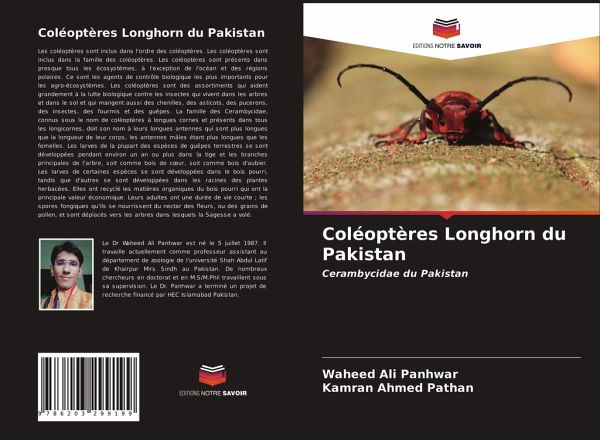 Coléoptères Longhorn du Pakistan Coléoptères Longhorn du Pakistan