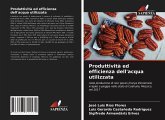 Produttività ed efficienza dell'acqua utilizzata