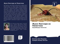Cover Zhuki Longhorn iz Pakistana