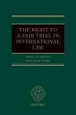 The Right to a Fair Trial in International Law (eBook, ePUB)