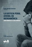 La justicia penal juvenil en Iberoamérica (eBook, PDF)