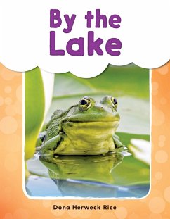 Cover By the Lake (epub) (eBook, ePUB)
