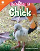 Hatching a Chick (eBook, ePUB)