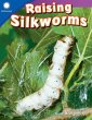 Raising Silkworms (eBook, ePUB) - Bild 1