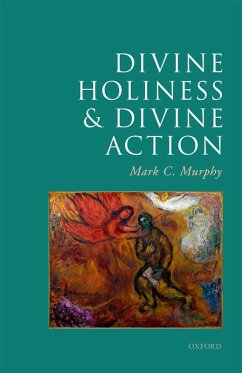 Cover Divine Holiness and Divine Action (eBook, PDF)