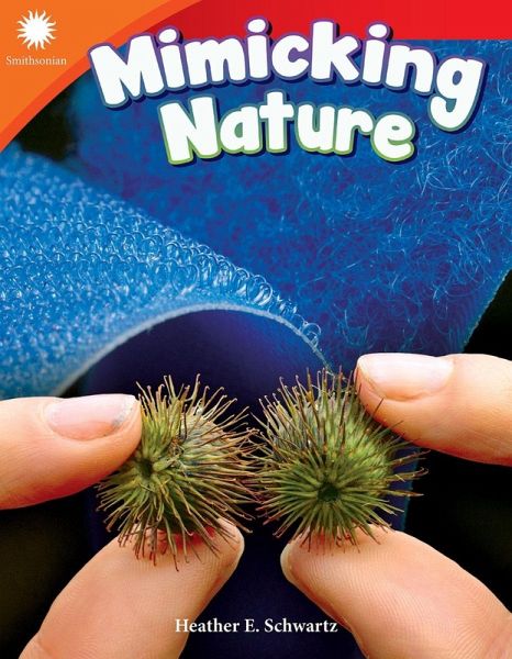 Mimicking Nature (eBook, ePUB)