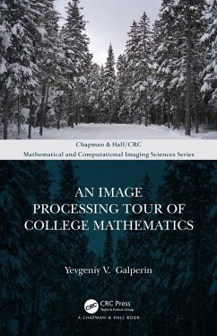 An Image Processing Tour of College Mathematics (eBook, ePUB) - Galperin, Yevgeniy V.
