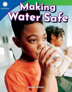 Making Water Safe (eBook, ePUB) - Wilder, Nellie